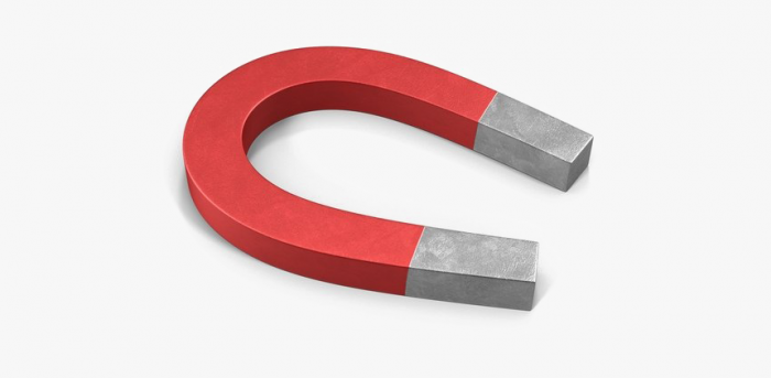 Horseshoe Magnet