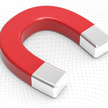 Horseshoe Magnets