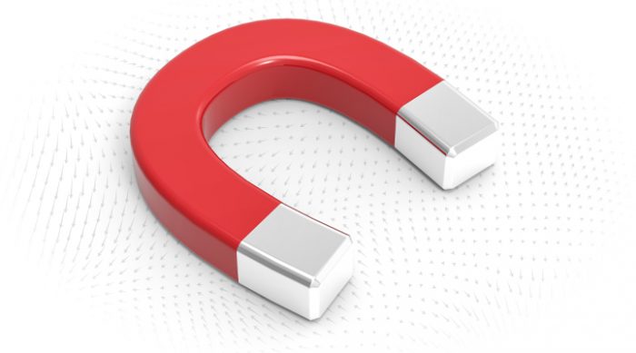 Horseshoe Magnet