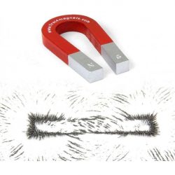 Alnico Horseshoe Magnet and Iron Filings