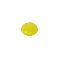 Großer sortierter Pinnwand-/Planungsmagnet (40mm Durchmesser x 8mm Höhe) (1 Packung mit 12 Stück)
