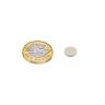 10mm Durchmesser x 1,5mm dicker N42-Neodym-Magnet – 0,9kg Zugkraft