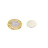 15mm Durchmesser x 1mm dicker N42-Neodym-Magnet – 1,1kg Zugkraft
