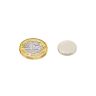Ultrahochleistungs-N52-Neodym-Magnet mit 15mm Durchmesser x 2mm Dicke – 2,4kg Zugkraft