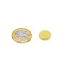 12mm Durchmesser x 2mm dicke, vergoldete Therapie-Magnete - Dimple On North Face - 1.3kg Pull