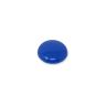 Großer sortierter Pinnwand-/Planungsmagnet (40mm Durchmesser x 8mm Höhe) (1 Packung mit 12 Stück)