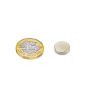 12mm Durchmesser X 3mm dicker N42 Neodym-Magnet - 2,5kg Zugkraft