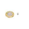 4mm Durchmesser X 4mm Dicke, N42SH Neodym-Magnet - 0,5kg Zug