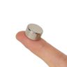 15mm Durchmesser x 8mm dicker N42-Neodym-Magnet – 6,9kg Zugkraft