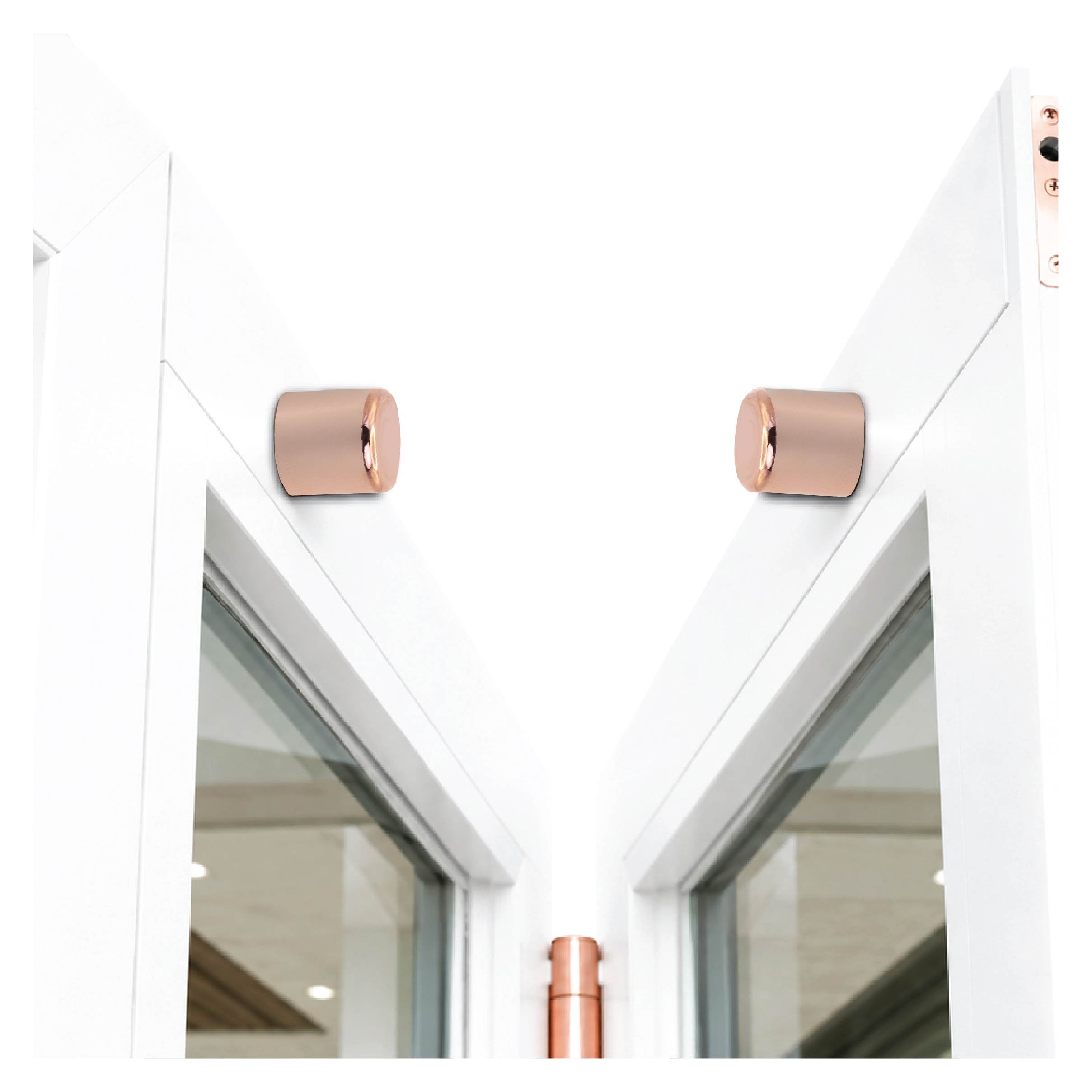 Rose Gold DoorMag