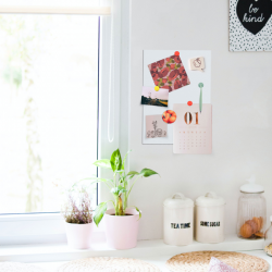 Ferrous Kitchen Space