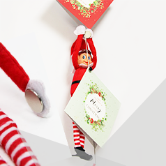 Elf On A Shelf