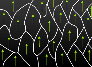 The majority of domains then stay aligned once the external field is removed.