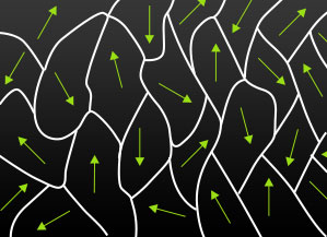 Individual magnetic domains are randomly aligned with their magnetic fields pointing in different directions.