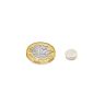 Samarium Cobalt Disc Magnet - 11/32 in. dia x 1/8 in. thick - 2.2lbs Pull