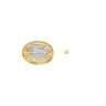 N42 Neodymium Disc Magnet - 1/8 in. dia x 1/32 in. thick - 0.41lbs Pull