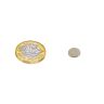 N42 Neodymium Diametrically Magnetised Disc Magnet - 5/16 in. dia x 1/32 in. thick