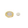 N42 Neodymium Disc Magnet - 3/8 in. dia x 1/16 in. thick - 2.87lbs Pull