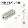 N42 Neodymium Disc Magnet - 1/16 in. dia x 1/32 in. thick - 0.24lbs Pull