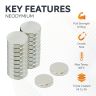 N42 Neodymium Magnet c/w Dimple on North - 1/4 in. dia x 1/16 in. thick - 1.2lbs Pull