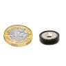 N42 Neodymium A Type Pot Magnet - 5/8 in. dia - 21.16lbs Pull