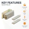 N42 Neodymium Adhesive Rectangular Magnet - 13/16 in. x 1/4 in. x 1/16 in. thick - 3.52lbs Pull