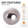N42 Neodymium Ball Magnet - 3/8 in. dia - 3.08lbs Pull