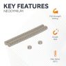 N35 Neodymium Disc Magnet - 5/32 in. dia x 1/16 in. thick - 0.83lbs Pull