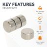 N42 Neodymium Disc Magnet - 19/32 in. dia x 5/16 in. thick - 15.21lbs Pull