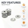 North & South Neodymium Countersunk Magnets & Screws Pack - 13/16 in. dia x 5/32 in. thick