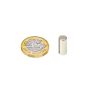 N42 Neodymium Diametrically Magnetised Rod Magnet - 1/4 in. dia x 9/16 in. thick