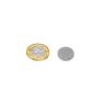N42 Neodymium Disc Magnet - 5/8 in. dia x 1/8 in. thick - 6.48lbs Pull
