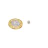 N42 Neodymium Disc Magnet - 5/32 in. dia x 1/8 in. thick - 1.19lbs Pull
