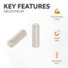 N42 Neodymium Rod Magnet - 5/16 in. dia x 1 in. thick - 6.83lbs Pull