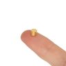 N35 Neodymium Gold Plated Disc Magnet - 3/16 in. dia x 5/32 in. thick - 1.45lbs Pull