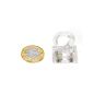 Clear Plastic Magnetic Hooks - 1 in. x 3/4 in. x 1-9/16 in. - 4.41lbs Pull
