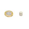 N42 Neodymium Disc Magnet - 5/16 in. dia x 1/4 in. thick - 5.29lbs Pull
