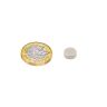 N42 Neodymium Disc Magnet - 3/8 in. dia x 5/32 in. thick - 5.73lbs Pull