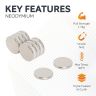 N42 Neodymium Disc Magnet - 9/16 in. dia x 1/16 in. thick - 3.74lbs Pull