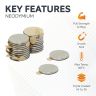 N35 Neodymium Adhesive Disc Magnet - 3/8 in. dia x 1/32 in. thick - 0.77lbs Pull