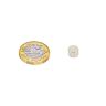 N35 Neodymium Disc Magnet - 9/32 in. dia x 3/16 in. thick - 3.08lbs Pull