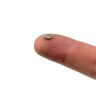 N42 Neodymium Rectangular Magnet - 3/16 in. x 1/8 in. x 1/16 in. thick - 0.77lb Pull