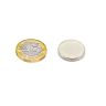 N42 Neodymium Disc Magnet - 13/16 in. dia x 1/8 in. thick - 10.14lbs Pull