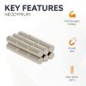 N42 Neodymium Rod Magnet - 1/8 in. dia x 1/4 in. thick - 0.85lbs Pull