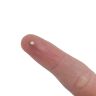 N42 Neodymium Disc Magnet - 1/16 in. dia x 1/32 in. thick - 0.24lbs Pull