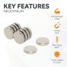 N42 Neodymium Disc Magnet - 19/32 in. dia x 1/8 in. thick - 6.39lbs Pull
