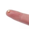 N42 Neodymium Gold Plated Disc Magnet - 1/8 in. dia x 1/16 in. thick