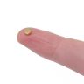 Gold Plated Therapy Magnets with Dimple On North Face - 5/32 in. dia x 1/16 in. thick - 0.7lbs Pull