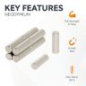 N42 Neodymium Rod Magnet - 5/32 in. dia x 1/2 in. thick - 1.58lbs Pull