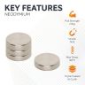 N42 Neodymium Disc Magnet - 13/16 in. dia x 3/16 in. - 16.09lbs Pull